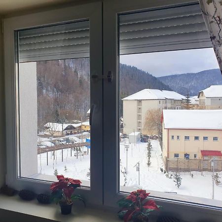 Studio 41 Азуга Екстериор снимка
