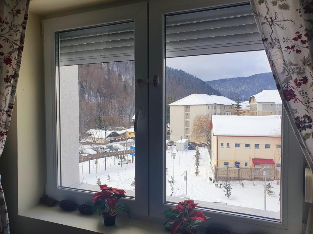 Studio 41 Азуга Екстериор снимка